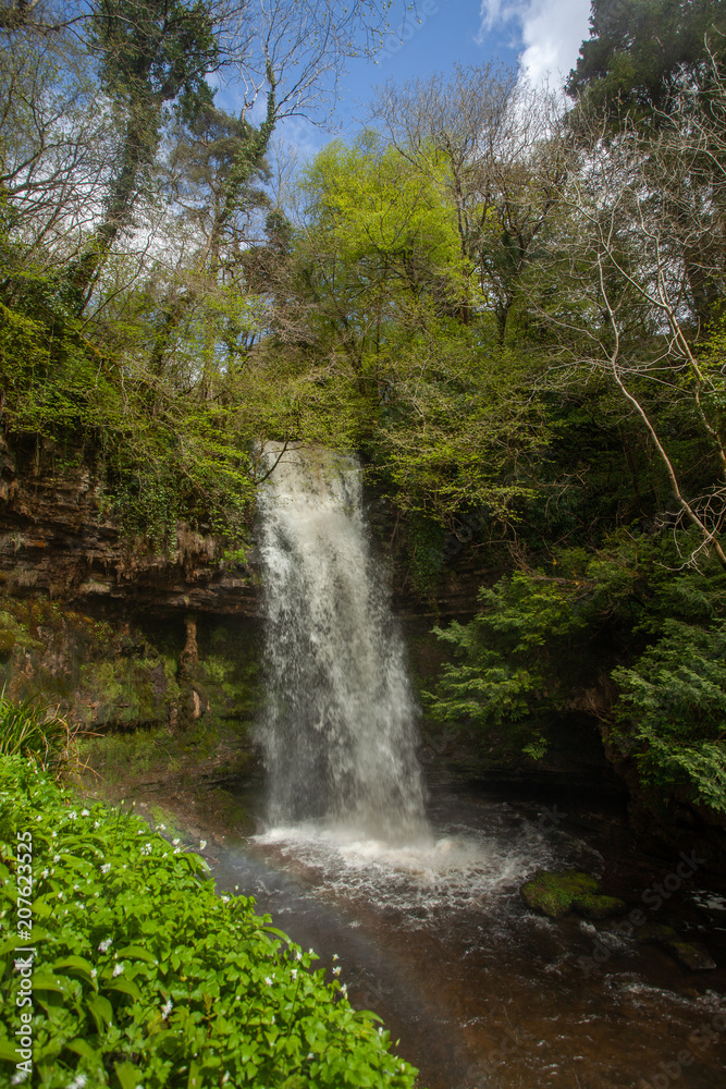 Glencar Wasserfall umwachsen vor Bäumen und Bärlauch, Irland Glencar Wasserfall umwachsen vor Bäumen und Bärlauch, Irland