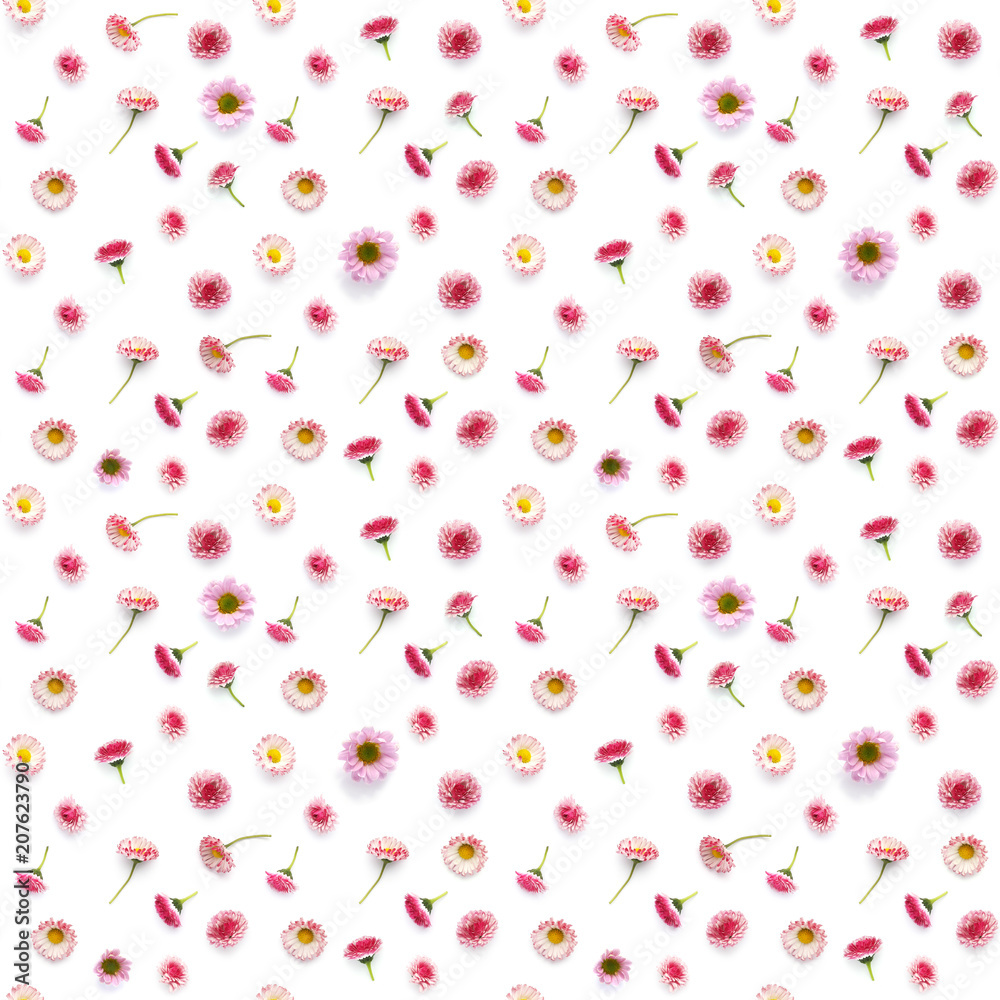 Seamless pattern from wild flowers isolated on white background, flat lay, top view. Seamless pattern from wild flowers isolated on white background, flat lay, top view.