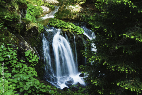 Bila Opava  White Opava   is a wild mountain stream in the Jeseniky mountains