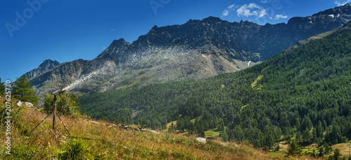 Fototapeta Naklejka Na Ścianę i Meble -  artificial irrigation of hay meadow in alps mountain