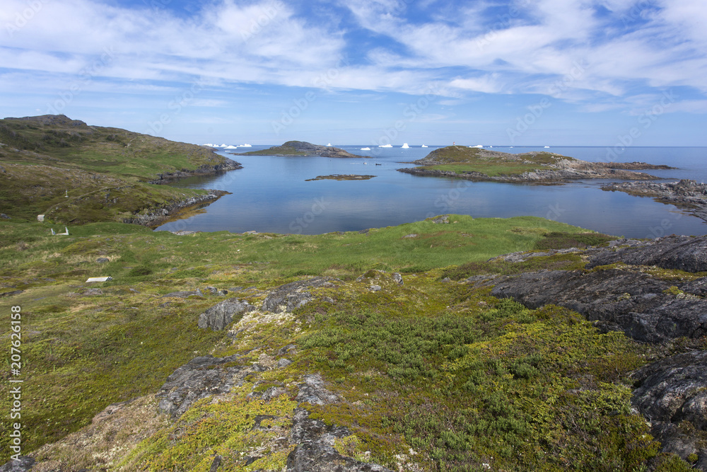 rocks and vegetation along Fogo Island coastline, Newfoundland; distant icebergs