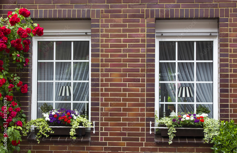 brick wall with windows and flower boxes with flowering plants