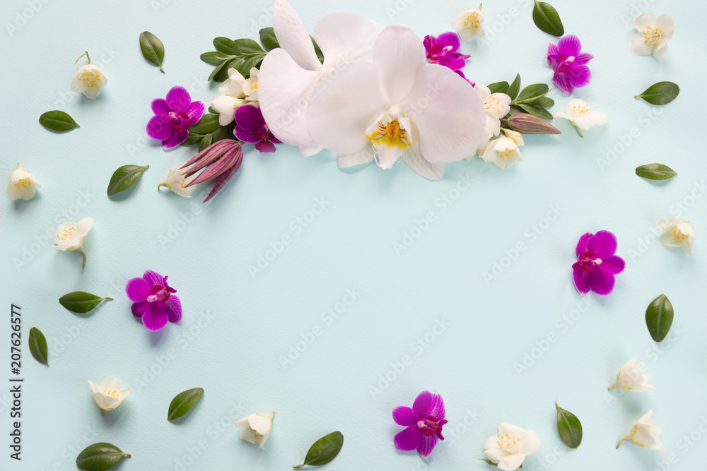 Floral pattern .Round frame made of    jasmine and  orchid flowers. Flat lay,top view