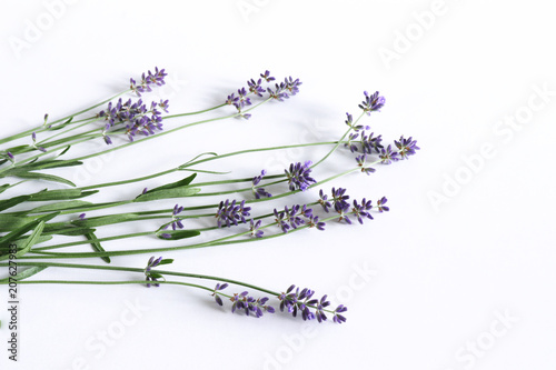 Styled stock photo. Decorative still life floral composition. Fresh flowers of lavender isolated on white wooden background . Empty space for your text.Nature concept.