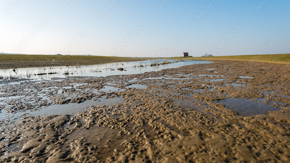 Soil drying in a new Dutch polder