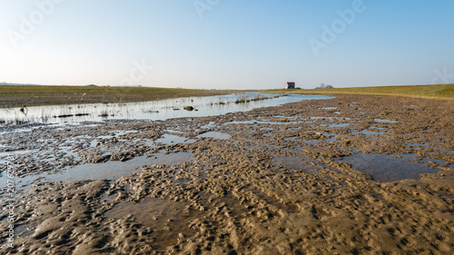 Obraz na płótnie Soil drying in a new Dutch polder w salonie