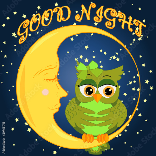 A sweet fairy-tale pink owl in a hat for dream dreams, sings a lullaby, lulls the sky, the moon and stars sitting on a sleeping sickle of the moon among a dark night sky and stars