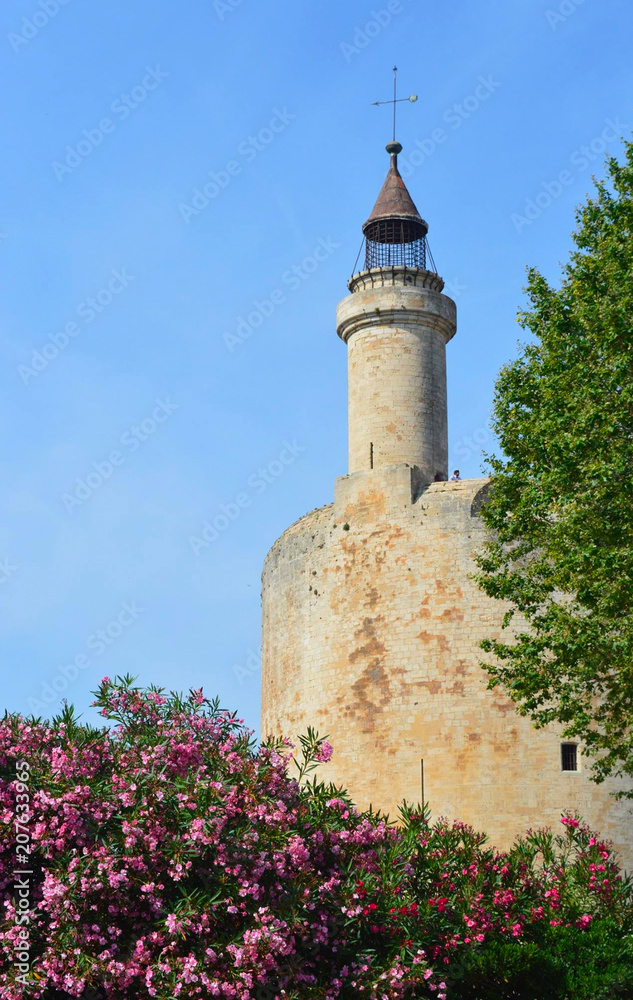 Fototapeta premium Medieval tower and fortress