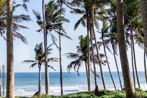 Landscape of black sand beach with beautiful palms. Bali island.