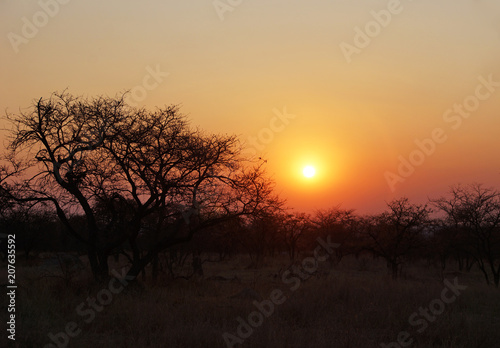 Sunset in African bush