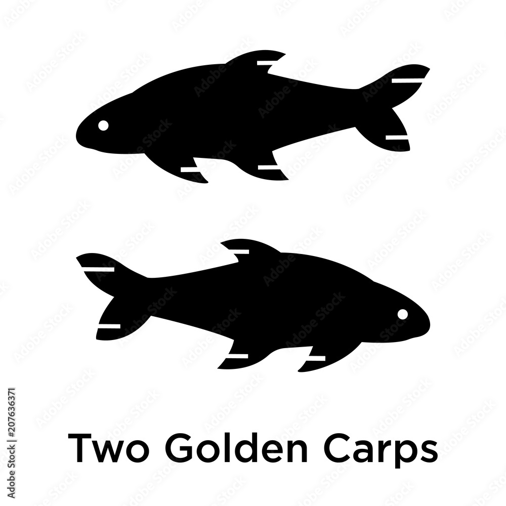 Two Golden Carps icon vector sign and symbol isolated on white background, Two Golden Carps logo concept Two Golden Carps icon vector sign and symbol isolated on white background, Two Golden Carps logo concept