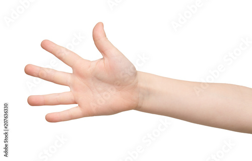Kid hand shows number five on white background