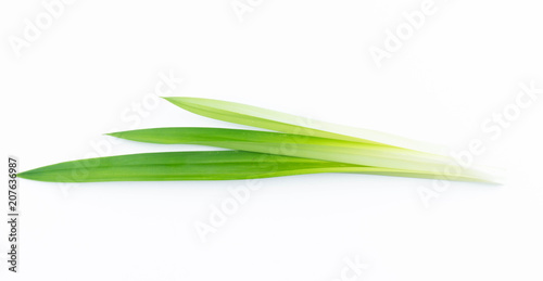 fresh green pandan screwpine leaves isolated on white