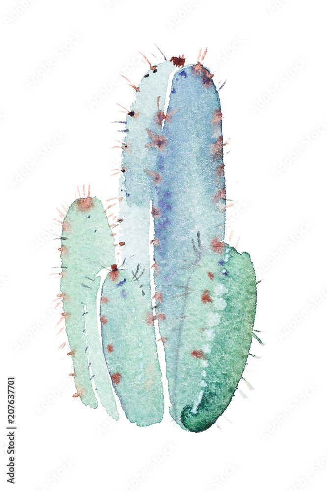 Naklejka premium Watercolor hand drawn spiky cactus bloom flower