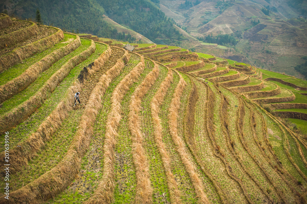 Man working in the rice terraces of Guilin in China