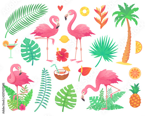 Pink flamingo and tropical plants. Beach palm, african plant leafs, rainforest flower, tropic palms leaf and rosy flamingos vector set