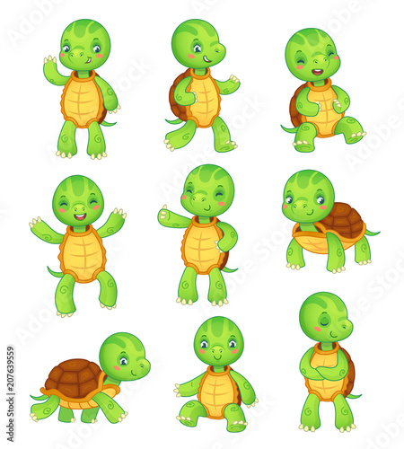 Cartoon turtle. Cute kids turtles  wild animals character set. Tortoise characters vector animal illustration collection