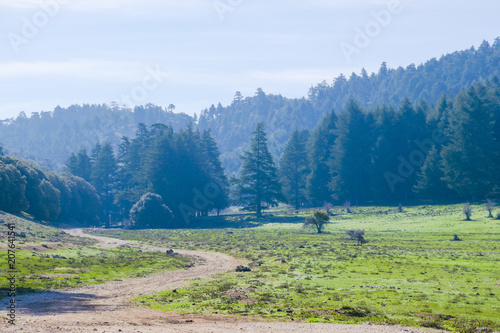 Landscape in the middle Atlas photo