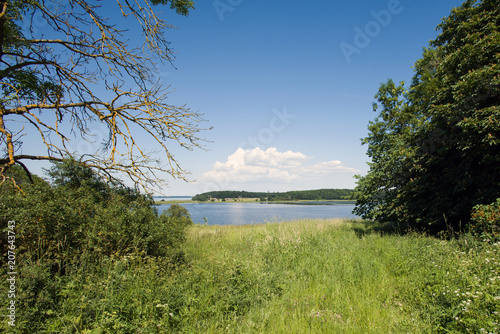 View of Roskilde fjord, Denmark photo