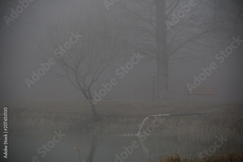 Empty bench at park near pond by foggy day, minimalistic cold season scene. bench at the lake in the fog in the forest. Bench near lake with fog. Azerbaijan Nature.