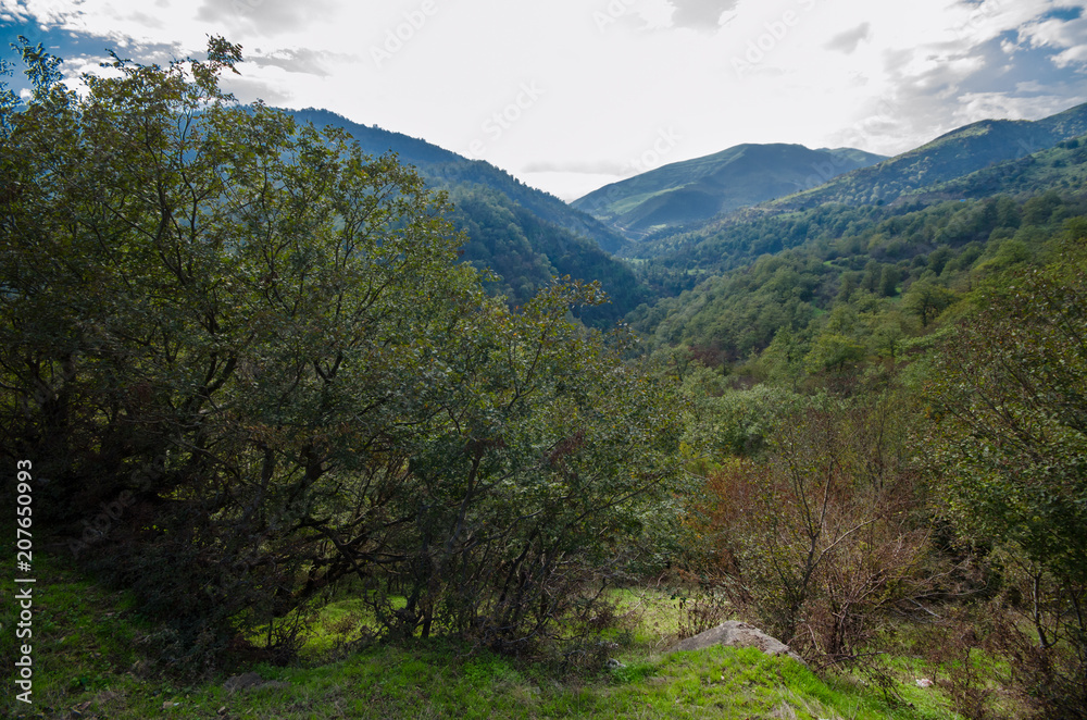 Beautiful landscape in the mountains with the sun at dawn. Mountains at the sunset time. Azerbaijan, Talish Mountains. Yardimli Beautiful landscape in the mountains with the sun at dawn. Mountains at the sunset time. Azerbaijan, Talish Mountains. Yardimli