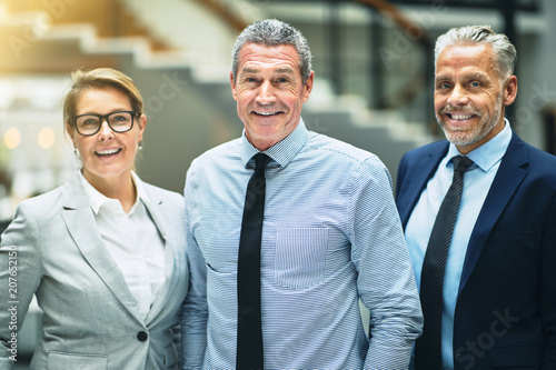 Mature businessman and smiling colleagues standing together in a