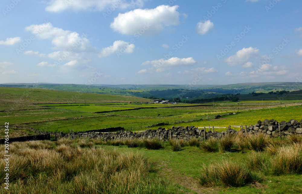 scenic view of a path on the edge of moorland in calderdale west yorkshire with rough tussock grass with dry stone walls bordering pastureland with farmhouses and pennine hills visible in the distance