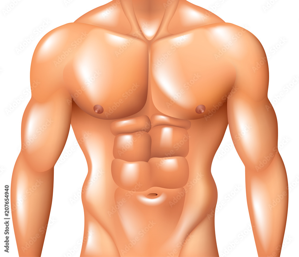Muscular man torso fitness concept isolated on white vector - obrazy, fototapety, plakaty 