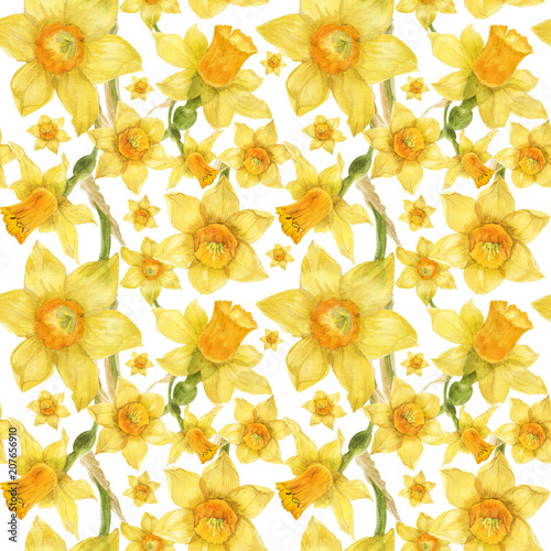 Watercolor botanical realistic floral pattern with narcissus photo