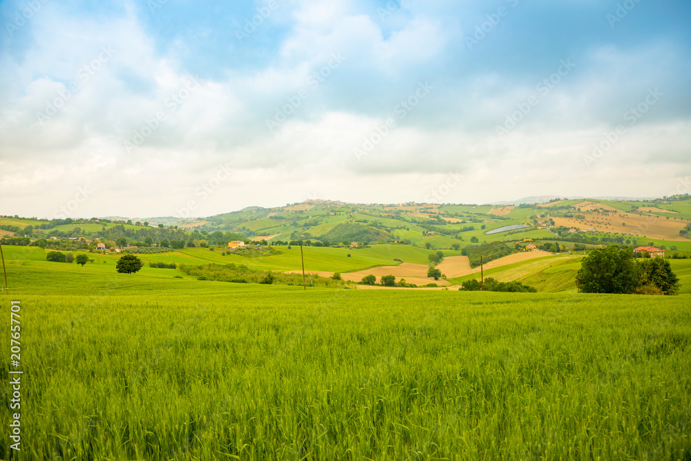 Rural Landscape at summer fields in Italian province of Ancona, Italy