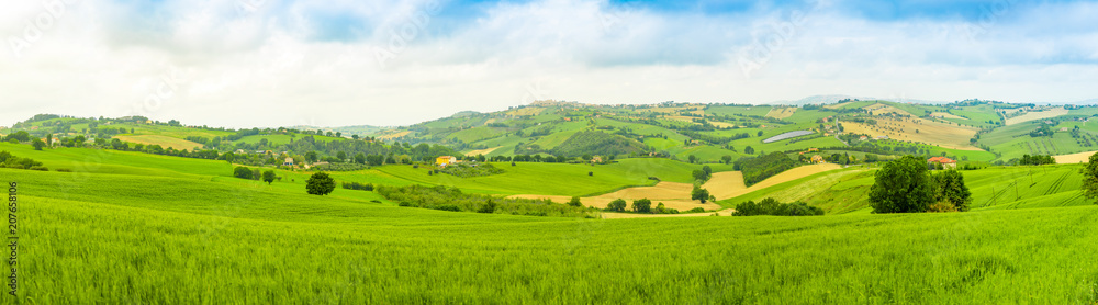 Panorama of Rural Landscape at summer fields in Italian province of Ancona, Italy