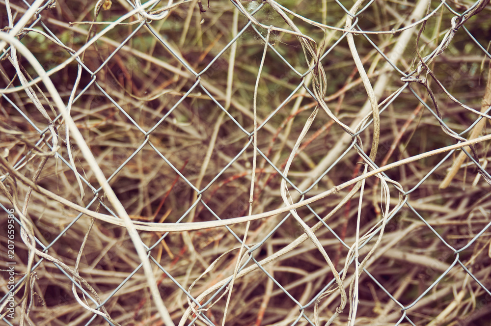 A fence made of metal mesh close-up. Behind the fence is dry grass. Abstract background.