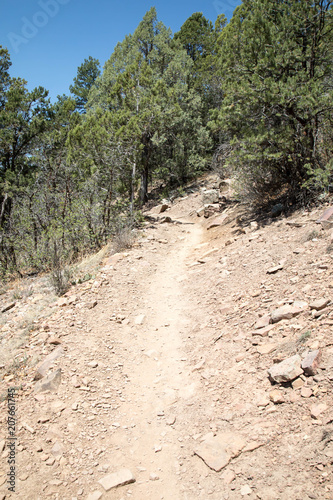 Rocky Animas mountain trail in Durango, Colorado
