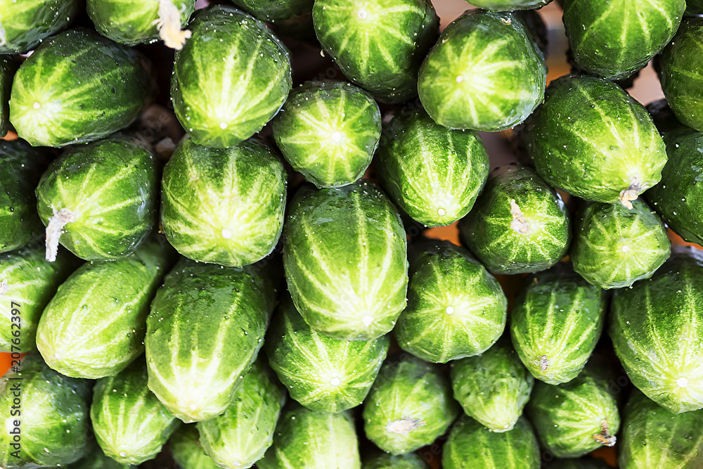 Fototapeta premium cucumbers on the counter, close-up