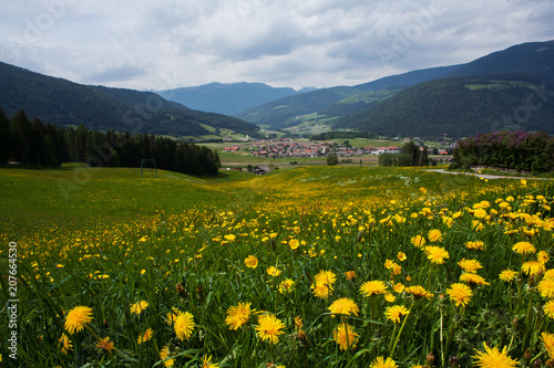 Landschaft in Südtirol