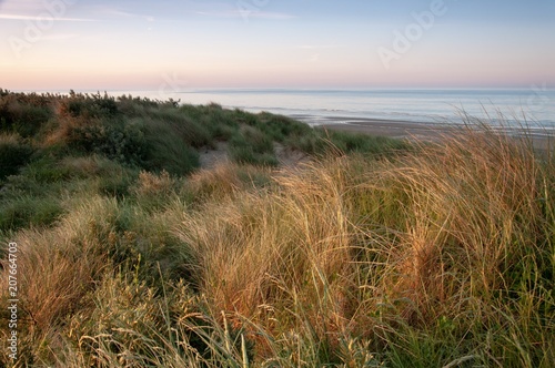 Looking over the golden grass on a sand dune at a calm sea in the South of England