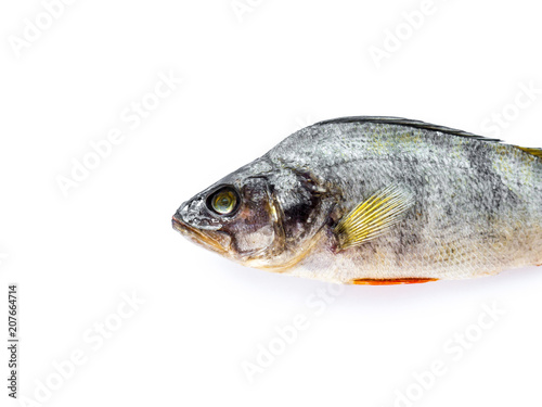 Dried Fish. © Mark Markau