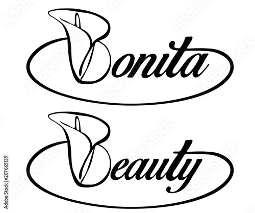 lirio bonita flor