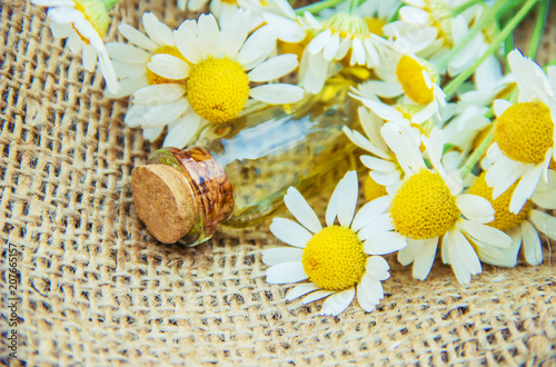 Chamomile extract. photo