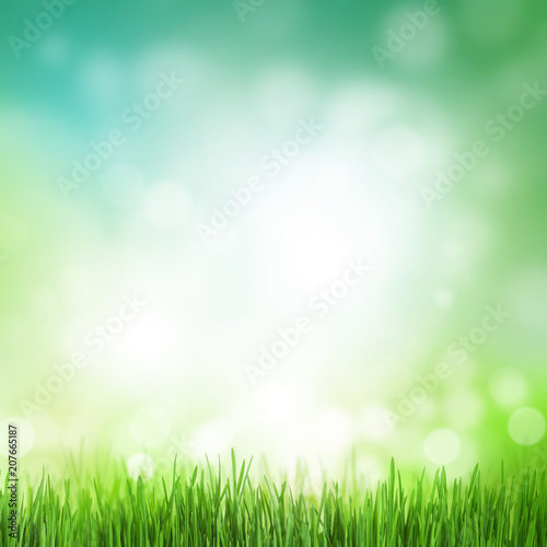 Abstract sunny summer background