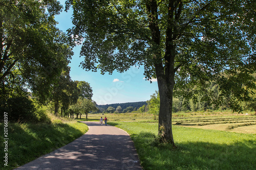 A beautiful summer landscape / A walk among meadows and fields photo