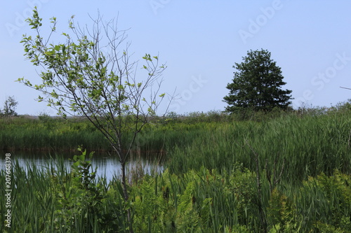 peaceful place near lake