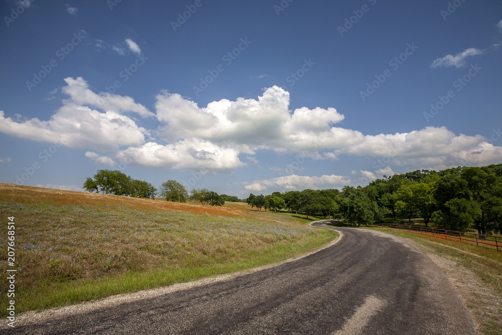 Texas countryside