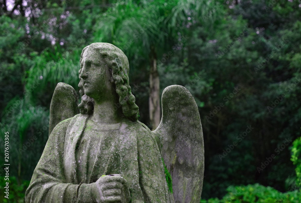 Obraz premium angel statue