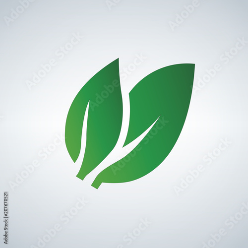 Green Leaf icon, vector ill...