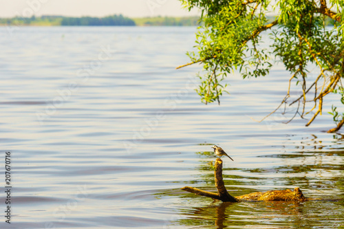 Lakes in the forests of Belarus