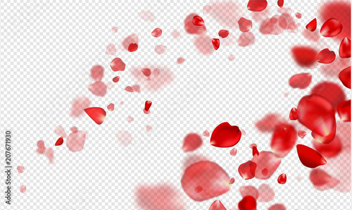 Fototapeta Naklejka Na Ścianę i Meble -  Falling Red rose petals on a transparent background.Vector illustration
