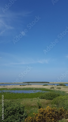 Lake in green fields under blue sky with copy space
