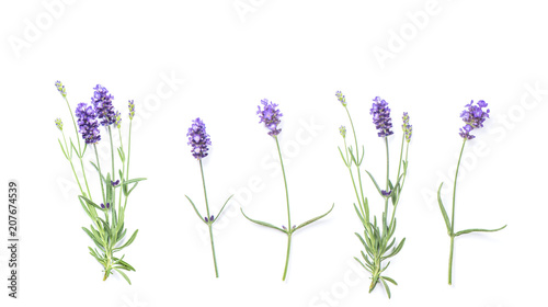 Lavender flowers Floral banner flat lay
