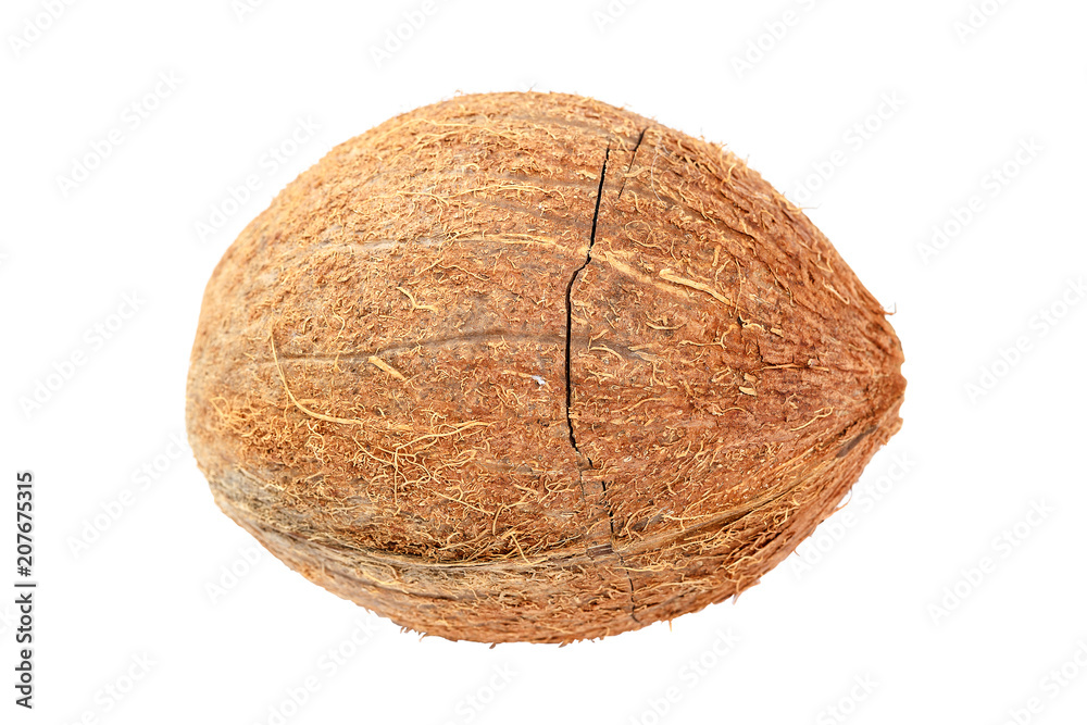 Coconut fruit isolated on a white background. Coconut fruit isolated on a white background.